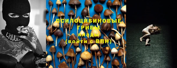 гидропоника Белокуриха