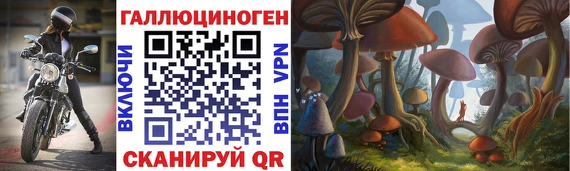 Галлюциногенные грибы Cubensis Кизляр